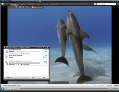 Download free RealPlayer