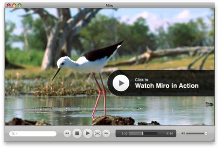 Download free Miro